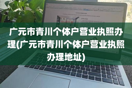 广元市青川个体户营业执照办理(广元市青川个体户营业执照办理地址)