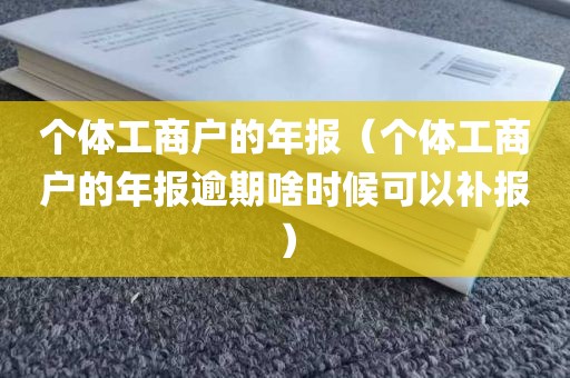 个体工商户的年报（个体工商户的年报逾期啥时候可以补报）