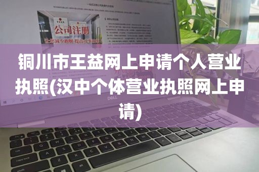 铜川市王益网上申请个人营业执照(汉中个体营业执照网上申请)