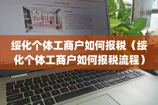 绥化个体工商户如何报税（绥化个体工商户如何报税流程）