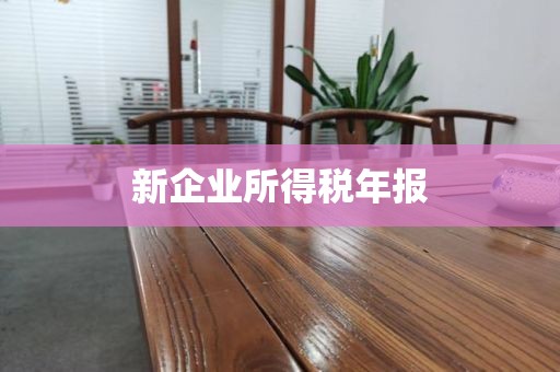 新企业所得税年报