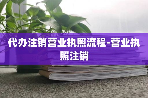 代办注销营业执照流程-营业执照注销