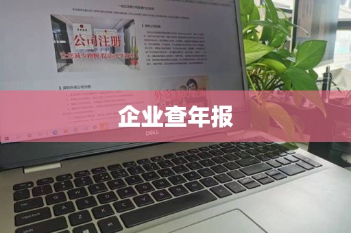 企业查年报