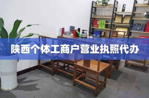 陕西个体工商户营业执照代办