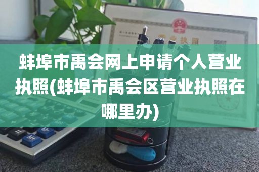蚌埠市禹会网上申请个人营业执照(蚌埠市禹会区营业执照在哪里办)