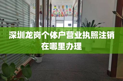 深圳龙岗个体户营业执照注销在哪里办理