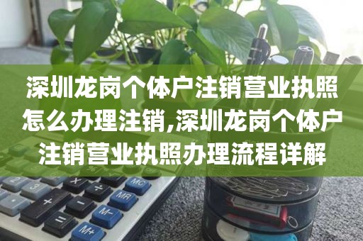 深圳龙岗个体户注销营业执照怎么办理注销,深圳龙岗个体户注销营业执照办理流程详解