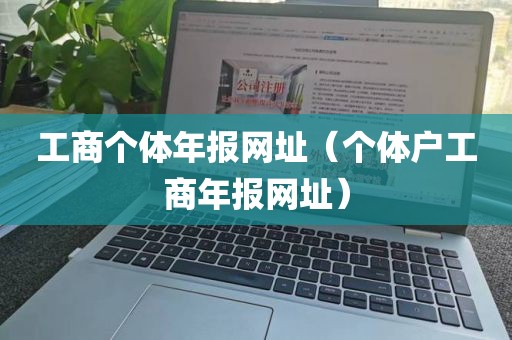 工商个体年报网址（个体户工商年报网址）