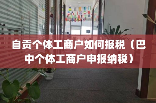 自贡个体工商户如何报税（巴中个体工商户申报纳税）