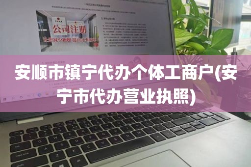 安顺市镇宁代办个体工商户(安宁市代办营业执照)