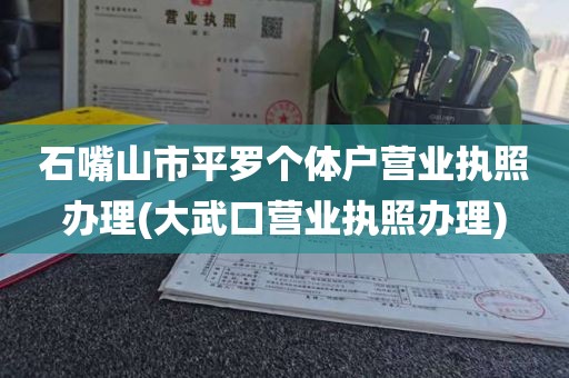 石嘴山市平罗个体户营业执照办理(大武口营业执照办理)