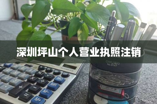 深圳坪山个人营业执照注销