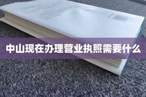 中山现在办理营业执照需要什么