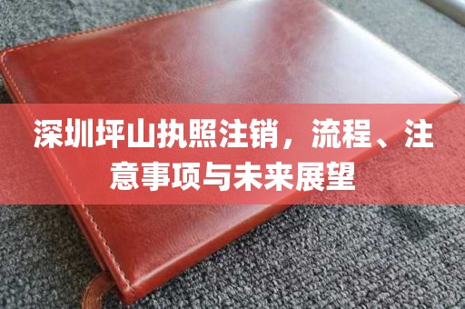深圳坪山执照注销，流程、注意事项与未来展望