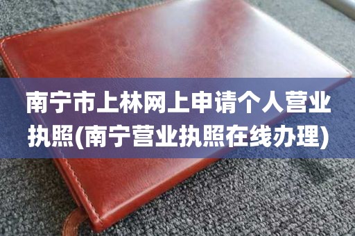 南宁市上林网上申请个人营业执照(南宁营业执照在线办理)