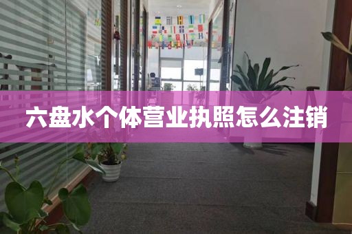 六盘水个体营业执照怎么注销