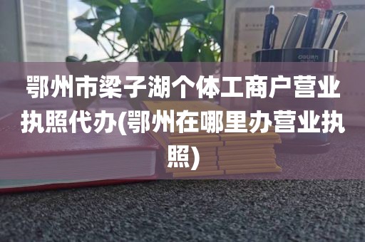 鄂州市梁子湖个体工商户营业执照代办(鄂州在哪里办营业执照)