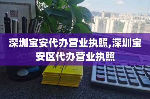 深圳宝安代办营业执照,深圳宝安区代办营业执照