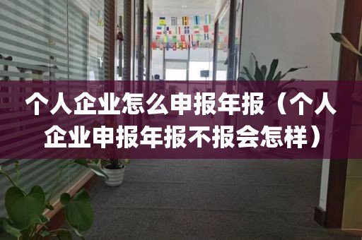 个人企业怎么申报年报（个人企业申报年报不报会怎样）