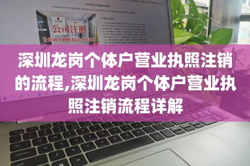 深圳龙岗个体户营业执照注销的流程,深圳龙岗个体户营业执照注销流程详解