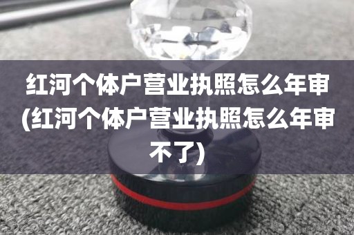 红河个体户营业执照怎么年审(红河个体户营业执照怎么年审不了)