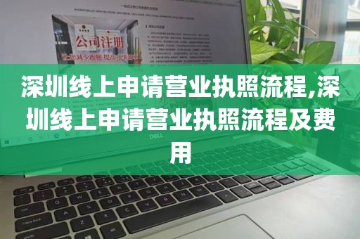 深圳线上申请营业执照流程,深圳线上申请营业执照流程及费用