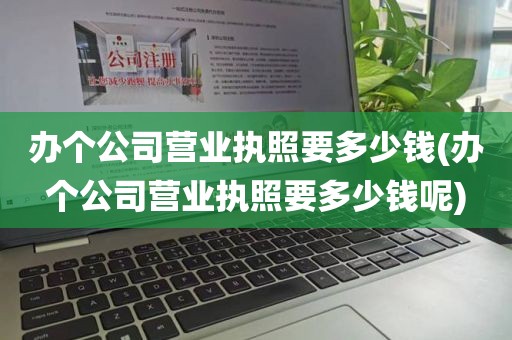 办个公司营业执照要多少钱(办个公司营业执照要多少钱呢)