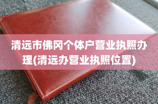 清远市佛冈个体户营业执照办理(清远办营业执照位置)