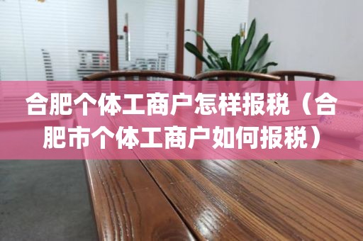 合肥个体工商户怎样报税（合肥市个体工商户如何报税）
