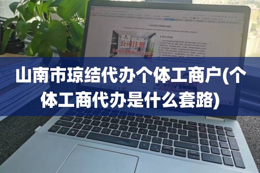 山南市琼结代办个体工商户(个体工商代办是什么套路)