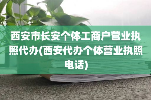 西安市长安个体工商户营业执照代办(西安代办个体营业执照电话)