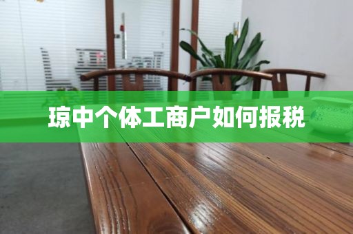 琼中个体工商户如何报税