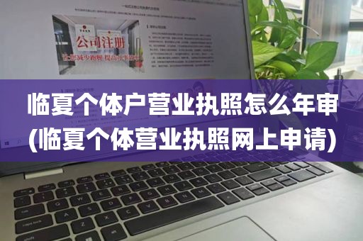 临夏个体户营业执照怎么年审(临夏个体营业执照网上申请)