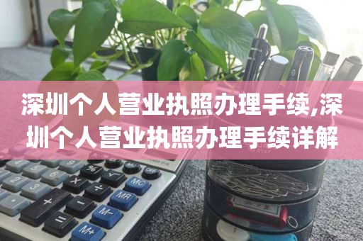 深圳个人营业执照办理手续,深圳个人营业执照办理手续详解