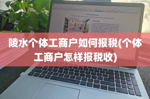 陵水个体工商户如何报税(个体工商户怎样报税收)