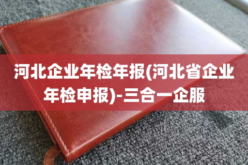 河北企业年检年报(河北省企业年检申报)-三合一企服