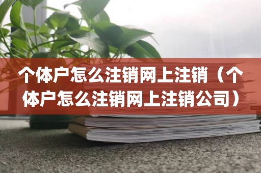 个体户怎么注销网上注销（个体户怎么注销网上注销公司）
