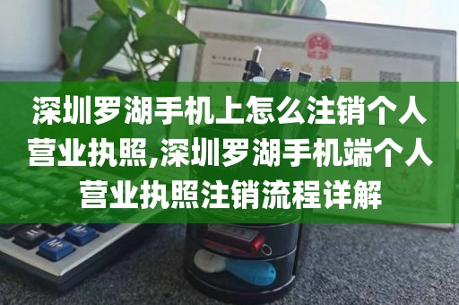 深圳罗湖手机上怎么注销个人营业执照,深圳罗湖手机端个人营业执照注销流程详解