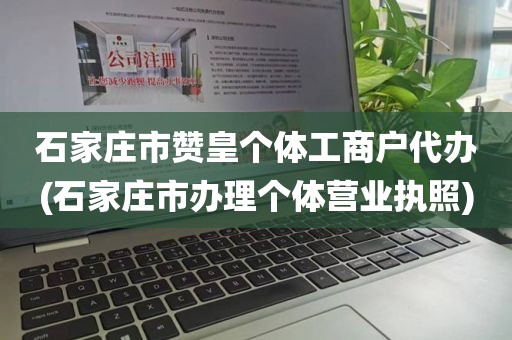 石家庄市赞皇个体工商户代办(石家庄市办理个体营业执照)