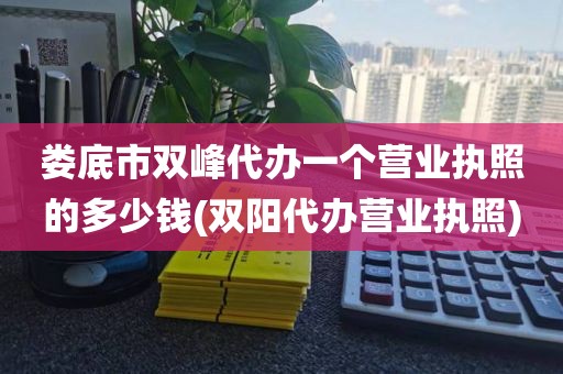娄底市双峰代办一个营业执照的多少钱(双阳代办营业执照)
