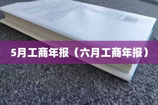 5月工商年报（六月工商年报）