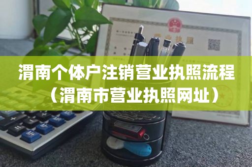 渭南个体户注销营业执照流程（渭南市营业执照网址）