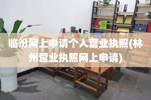 临汾网上申请个人营业执照(林州营业执照网上申请)