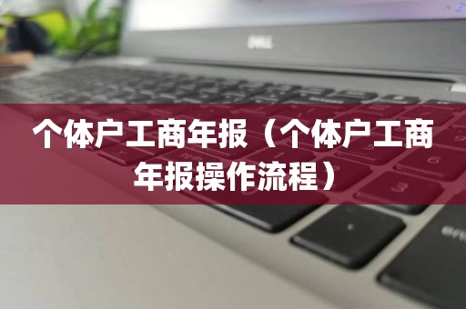 个体户工商年报（个体户工商年报操作流程）