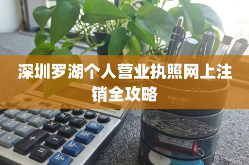 深圳罗湖个人营业执照网上注销全攻略