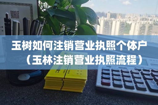 玉树如何注销营业执照个体户（玉林注销营业执照流程）
