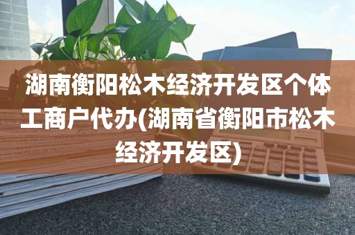 湖南衡阳松木经济开发区个体工商户代办(湖南省衡阳市松木经济开发区)