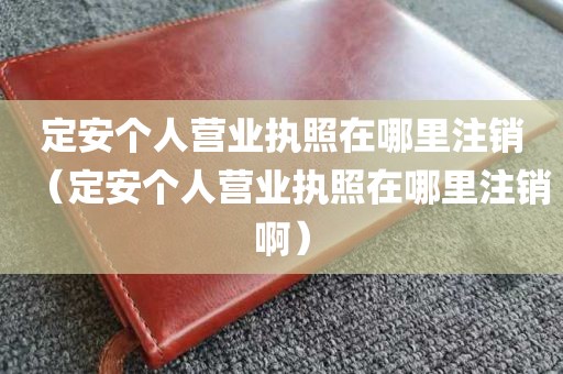 定安个人营业执照在哪里注销（定安个人营业执照在哪里注销啊）