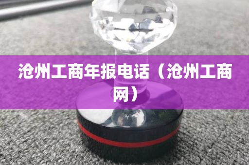 沧州工商年报电话（沧州工商网）