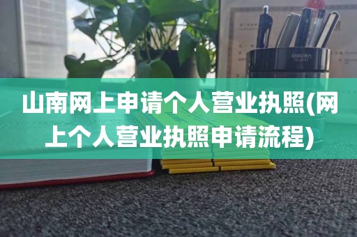 山南网上申请个人营业执照(网上个人营业执照申请流程)
